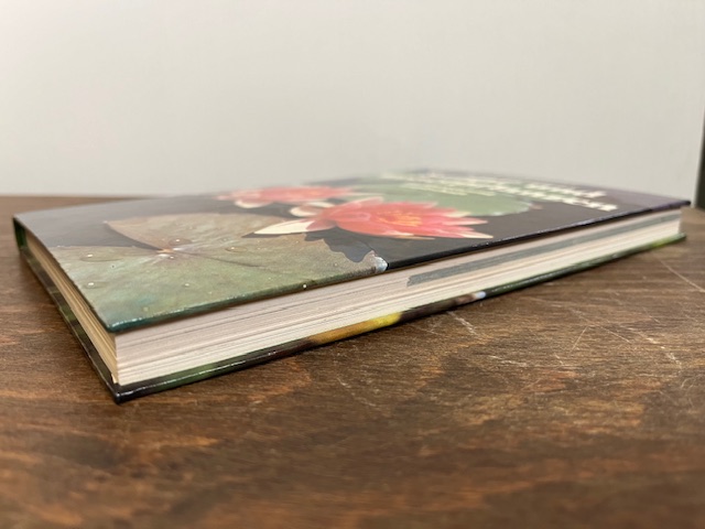 Sumpf- und Wasserpflanzen, Schuster,Sommer