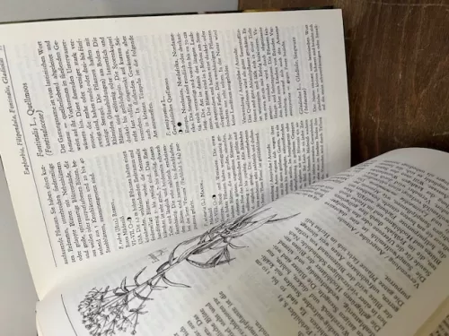 Sumpf- und Wasserpflanzen, Schuster,Sommer