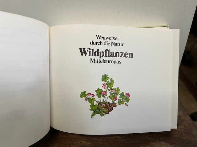 Wildpflanzen Mitteleuropas