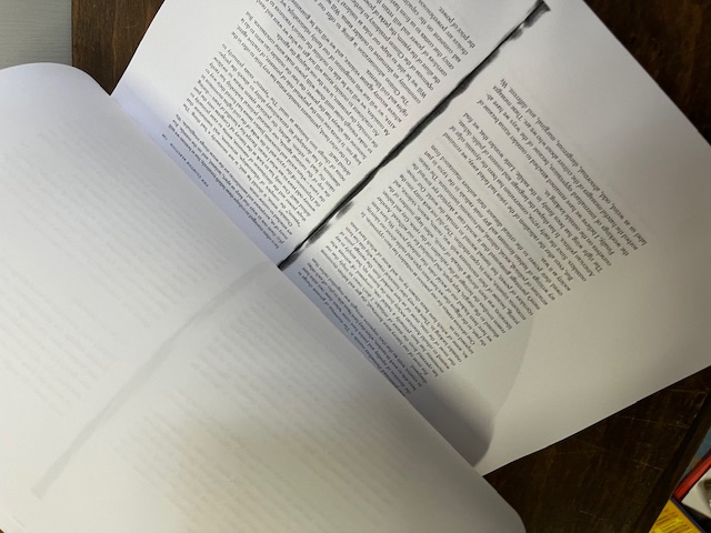 The world turned, D'Emilio