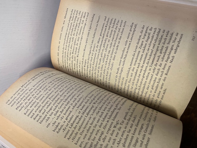 Die Bilder des Zeugen Schattmann,Edel