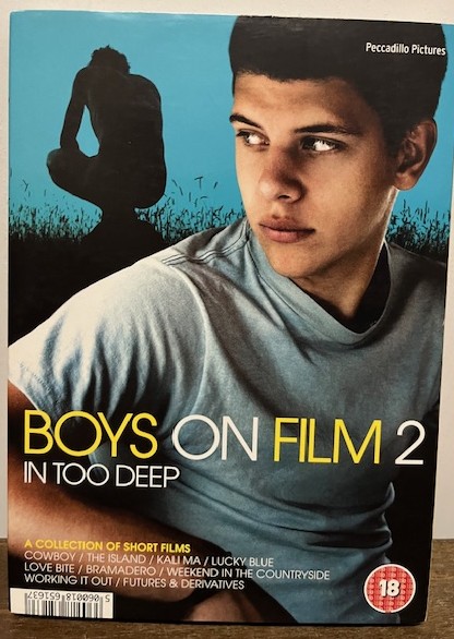 DVD: Boys on Film 2