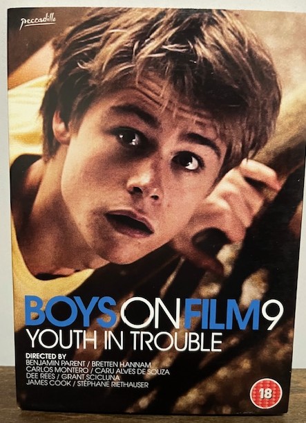 DVD: Boys on Film 9