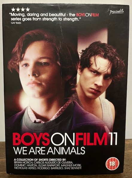 DVD: Boys on Film 11