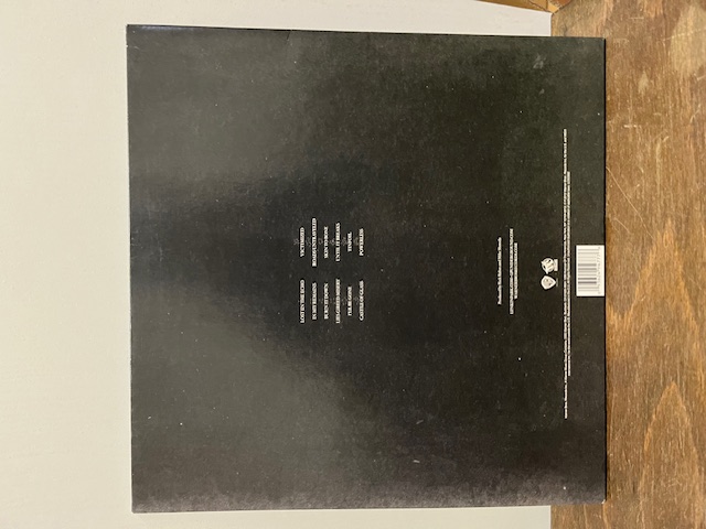 LP Limkin Park Living Things