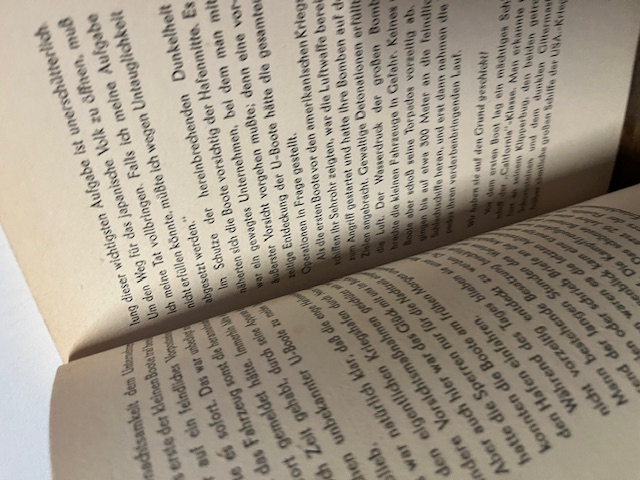 Helden unter dem Sonnenbanner, Steen