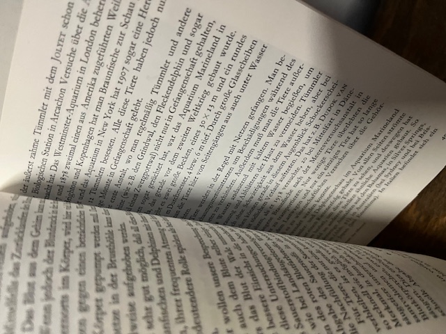 Riesen des Meeres, Slijper