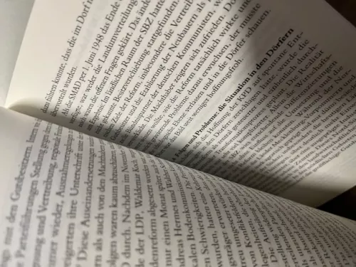 Das sozialistische Dorf, Schöne