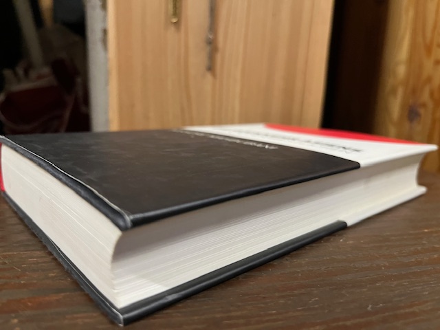 Die Rückkehr Asiens, Magbubani