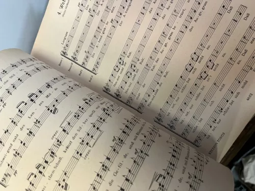 36 x Chormusik von Franz Schubert Reihe B Männer