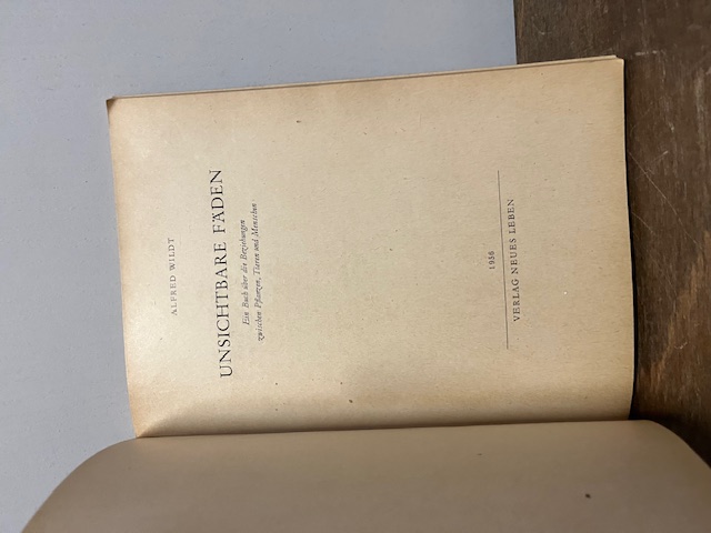 Unsichtbare Fäden, Wildt