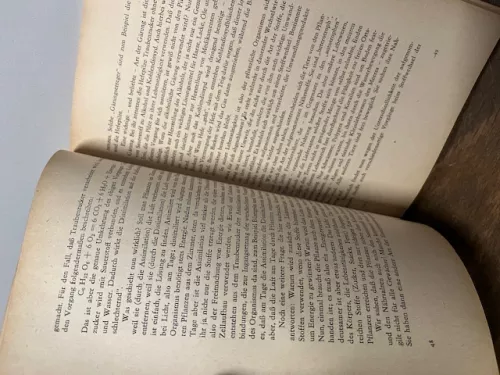 Unsichtbare Fäden, Wildt