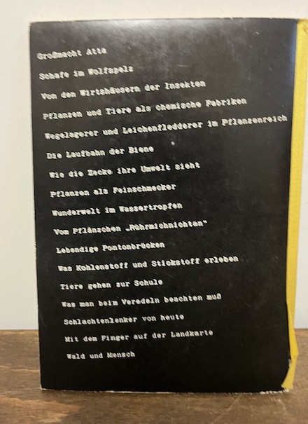 Unsichtbare Fäden, Wildt