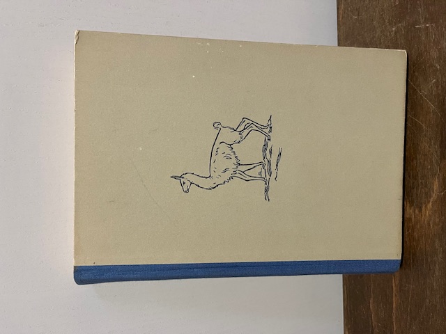 Zehn Jahre im Feuerland, Agostini