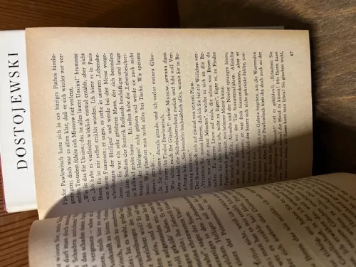 Die Brüder Karamasow, Dostojewski