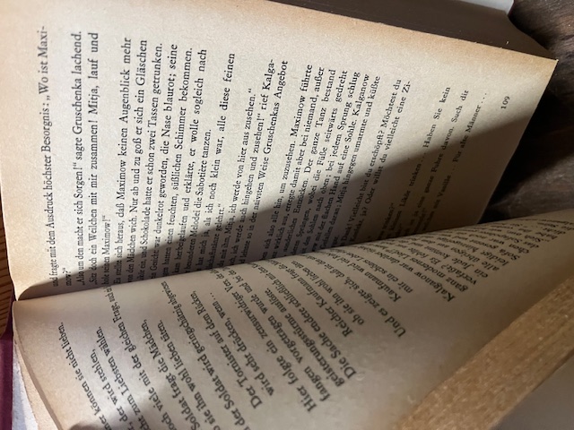 Die Brüder Karamasow, Dostojewski