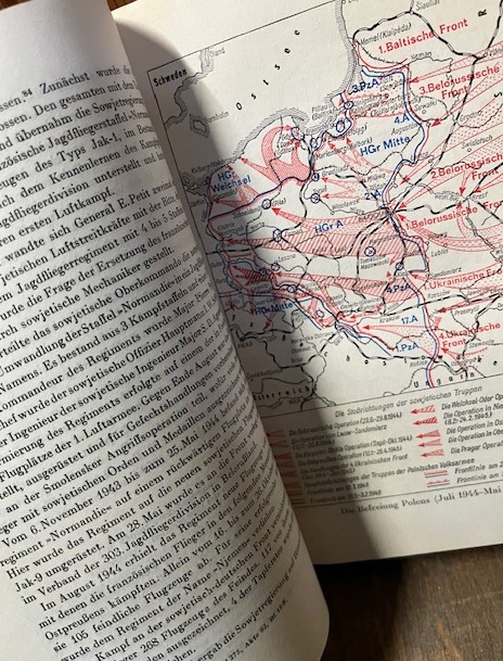 Die Befreiungsmission der Sowjetstreitkräfte 