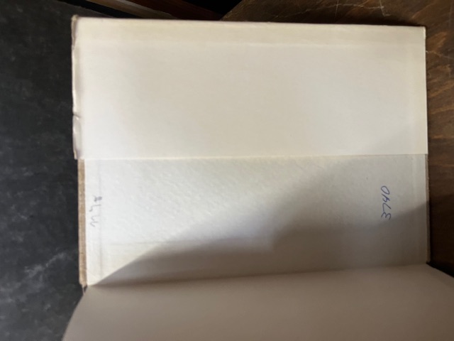 Unter Reitern und Ruinen, Wotte