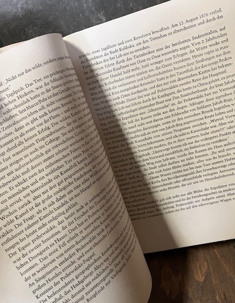 Kurs auf Unerforscht, Wotte