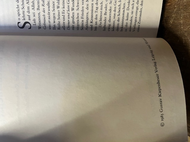 Hayy ibn Yaqzan der Naturmensch