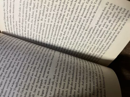 Hayy ibn Yaqzan der Naturmensch