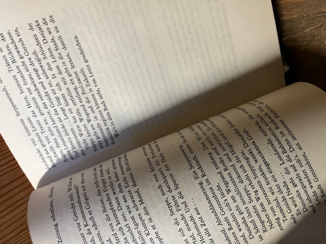 Flimmernde Steppe, Scholochow