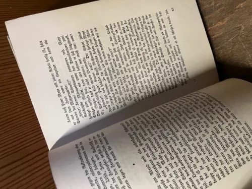 Der Feuerteufel, Trenker