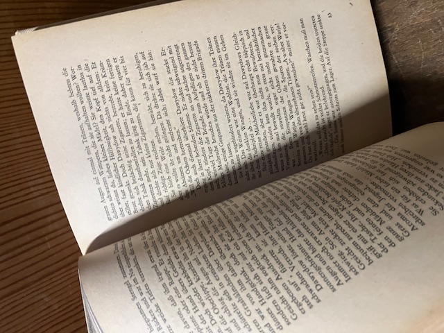 Scholochow, Neuland unterm Pflug