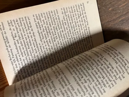 Schwierigkeiten mit der Wahrheit, Janka