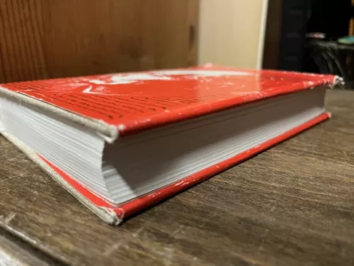 Feliks Dzierzynski, Biographie