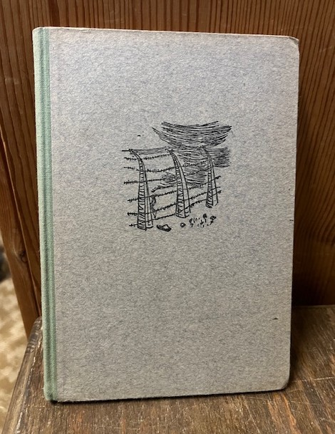 Auschwitzer Erz&auml;hlungen, Broniewska