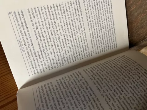 In Stahlgewittern, J&uuml;nger