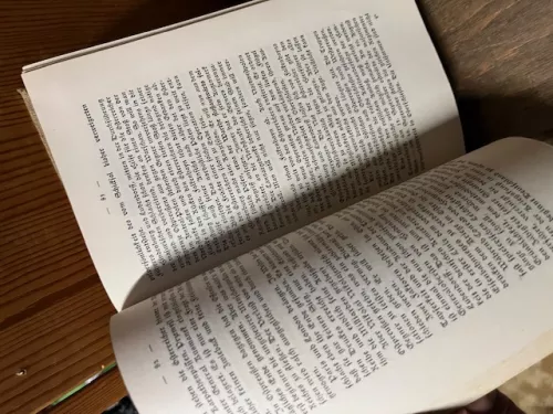 Sperrfeuer um Deutschland, Beumelburg