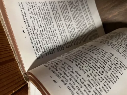 Sperrfeuer um Deutschland, Beumelburg