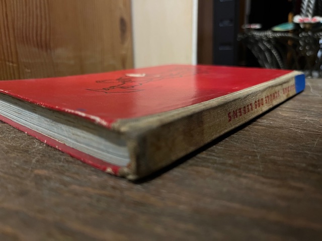 Schule des Lebens, Gaidar