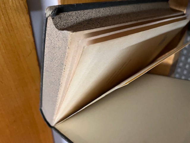 Die Abstammung des Menschen und die geschlechtlich