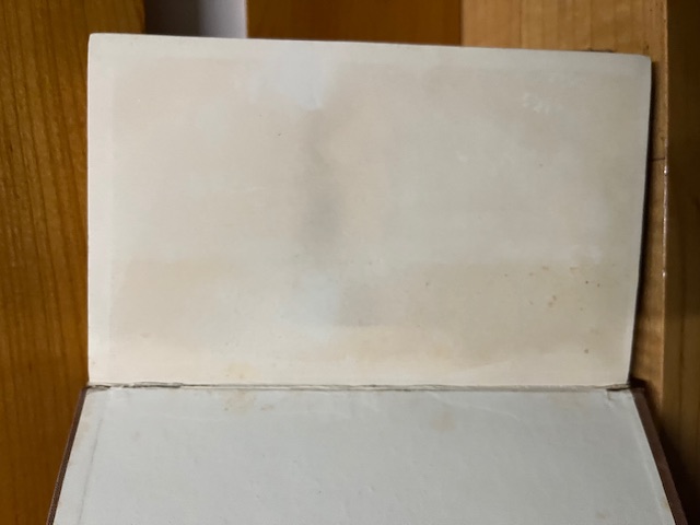 Die neuen Wirtschaftsformen 1914-1940, Samhaber