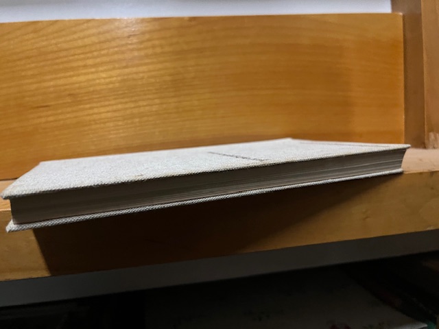 Mitternachtstrolleybus, neue sowjetische Lyrik