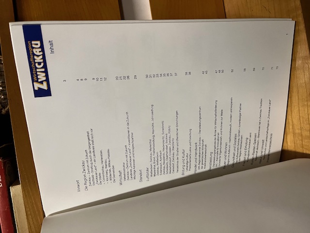 Wirtschaftsregion Zwickau, Buch 1994