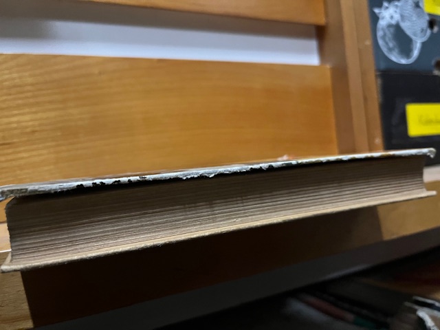 &Uuml;ber den Nordpol hinaus, Neumann