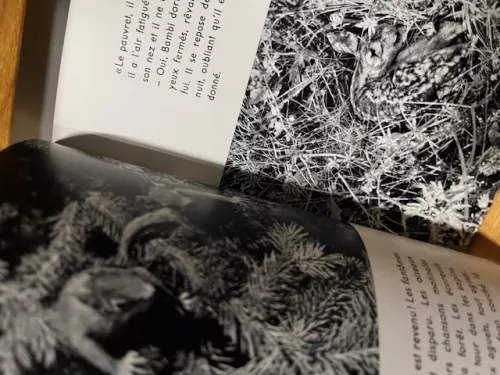 Hoppi au secure de Bambi