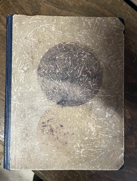 Komm mit! Wochenschrift f&uuml;r junge M&auml;dchen 1912