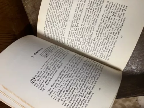 Der Geist des Ganzen, Langbehn