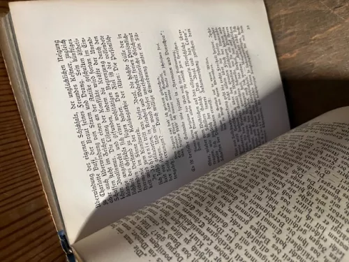 Die Seele der Zeit, Alfred Bien