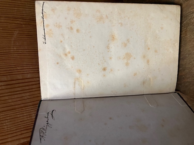 A Manual literature, Silling, 1897