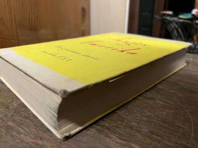 Junges Amerika, Preisgekr&ouml;nte Stories, Ullstein 19