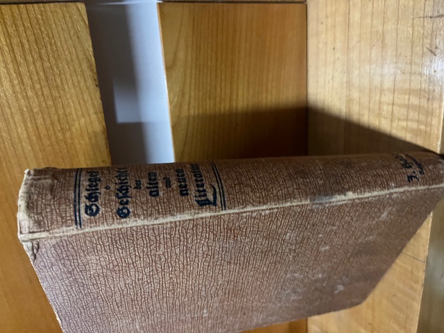 Geschichte der alten und neuen Literatur, Schlegel