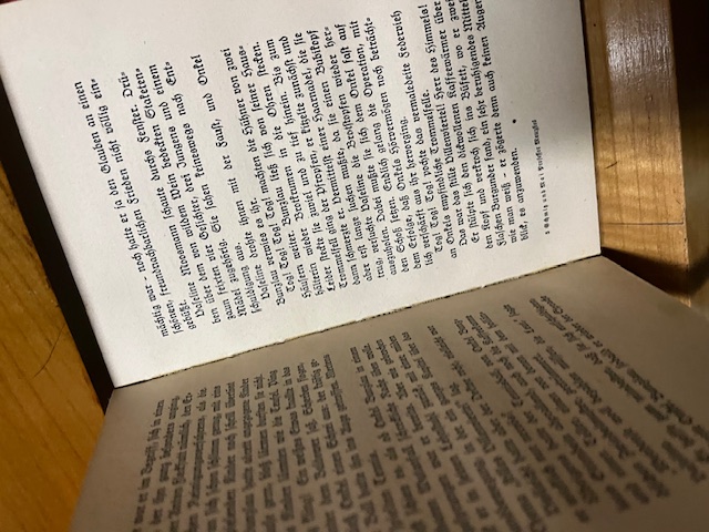 Professor Maus Fies, Harry Schmitz