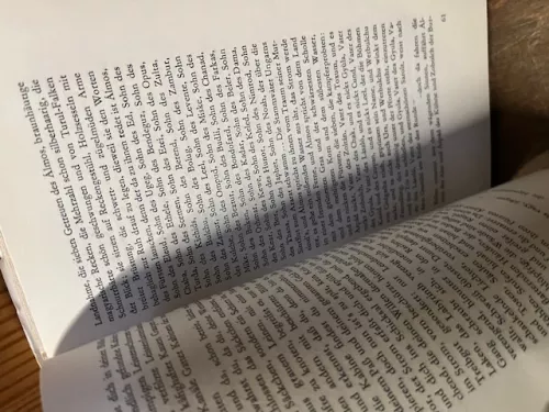 Zweiundzwanzig Tage, F&uuml;hmann