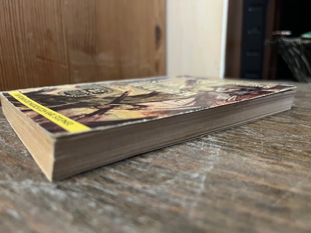 Der Sohn der W&auml;lder, Taschenbuch